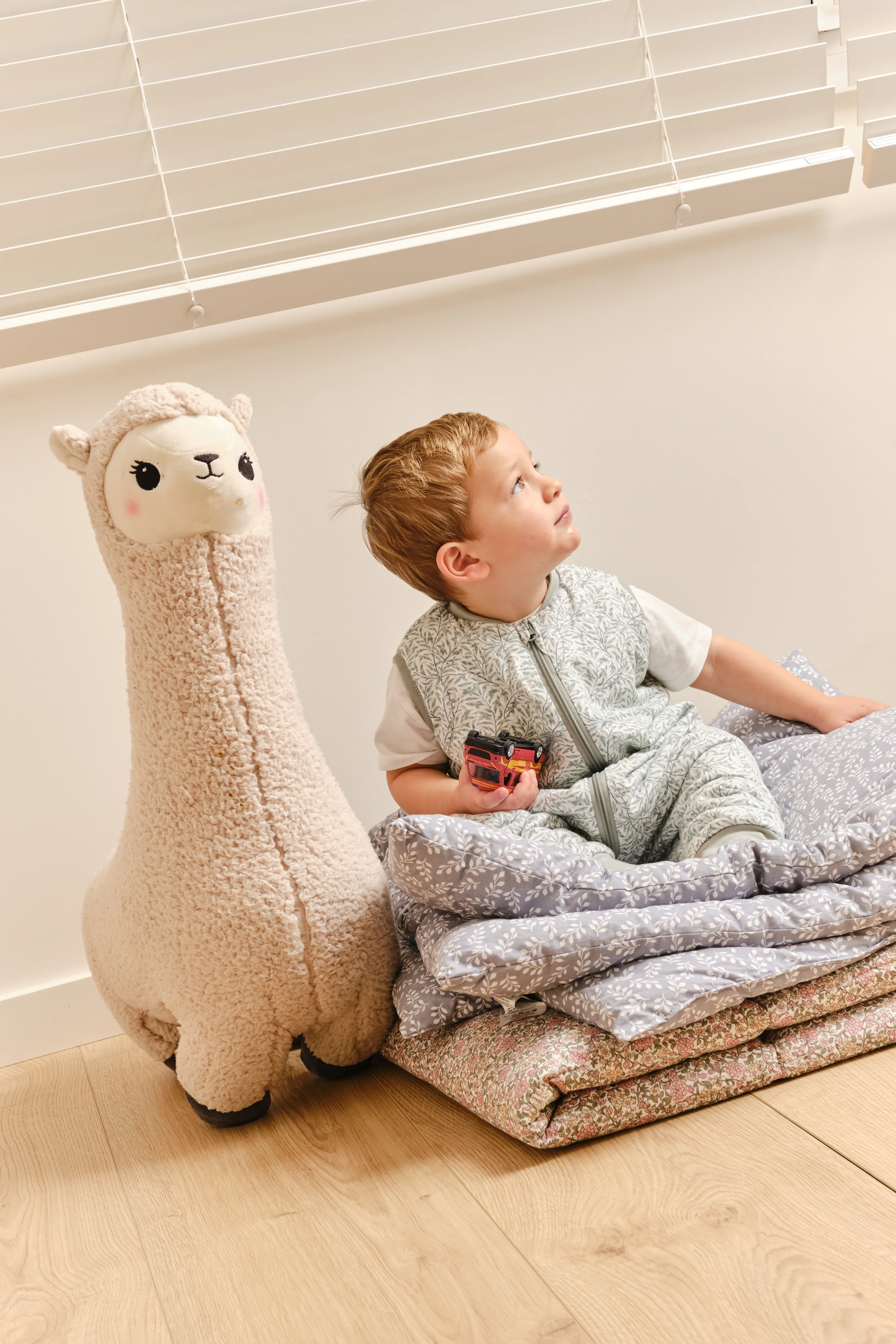 Molis11283_a0682835-c42b-4f0e-97ce-cf7e6a0683f2 blank