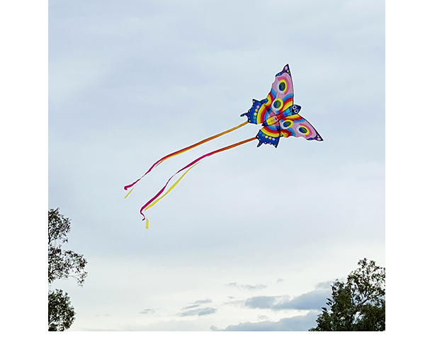 30243_foto_6481bb76b370a_4 blank