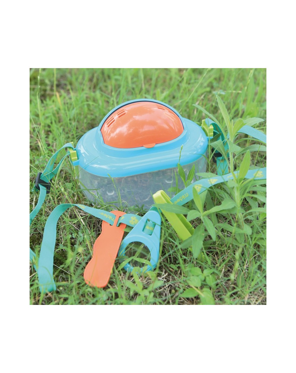 insect-box (2) blank