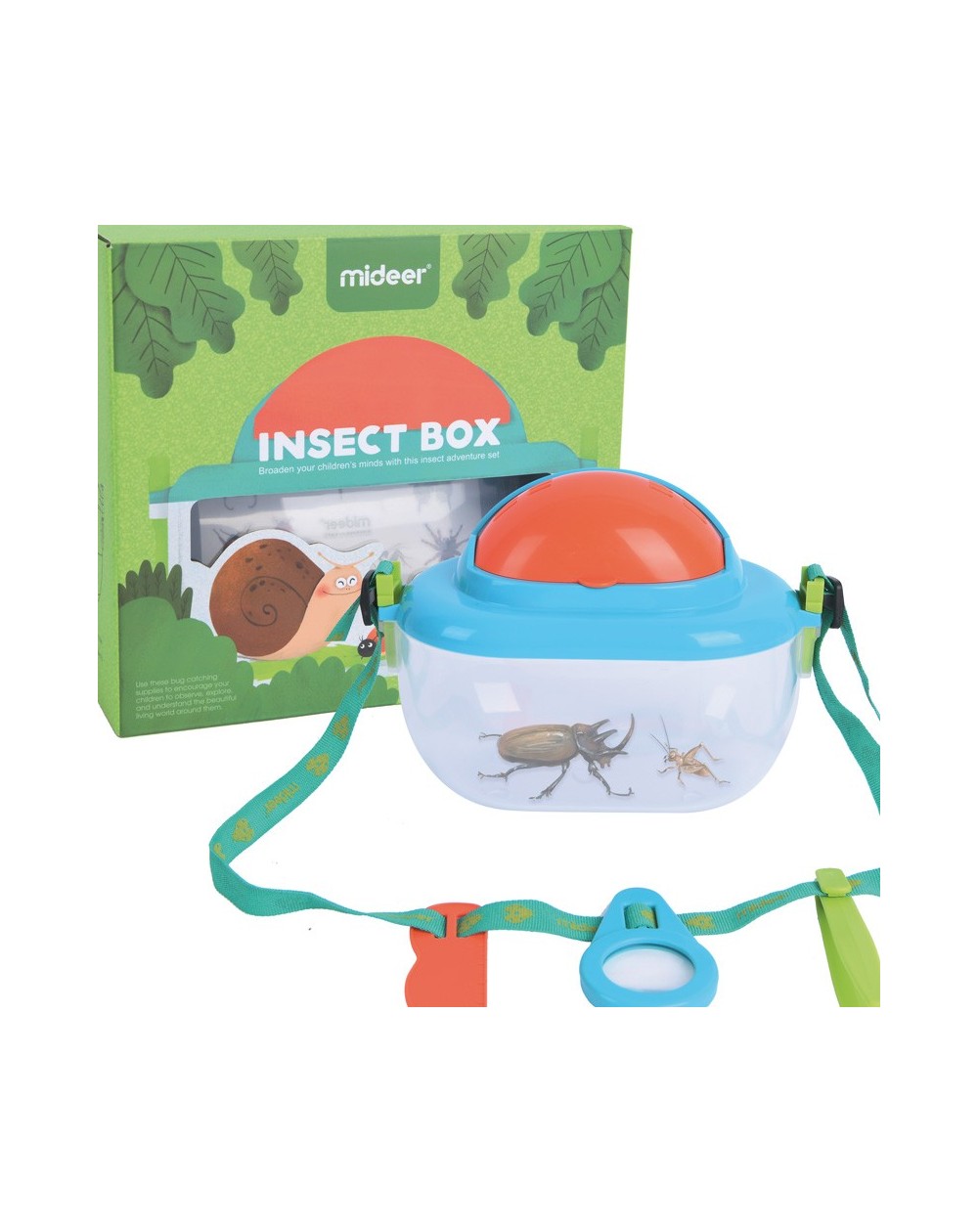 insect-box (3) blank