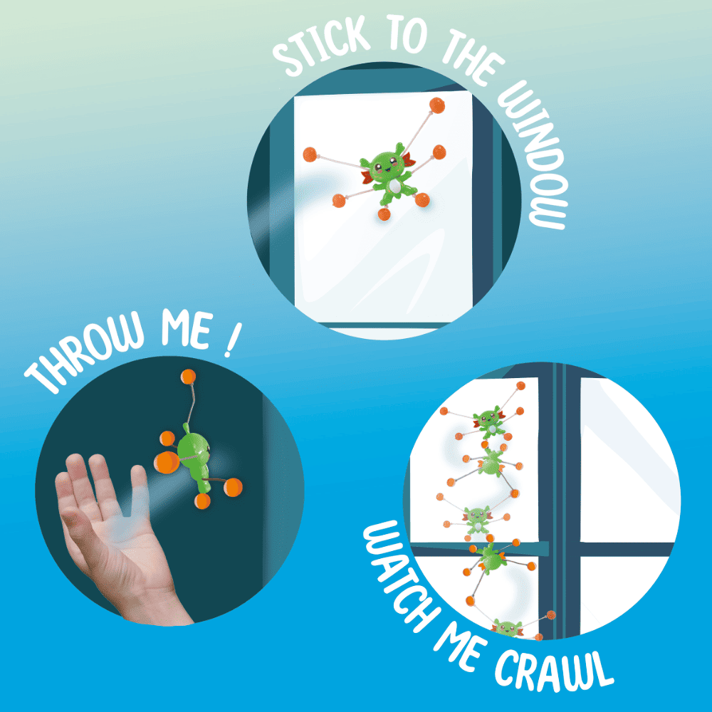 965592_d_AX_Fensterlaufer_Axolotl blank