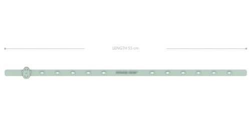 BZAE00004569-2 blank