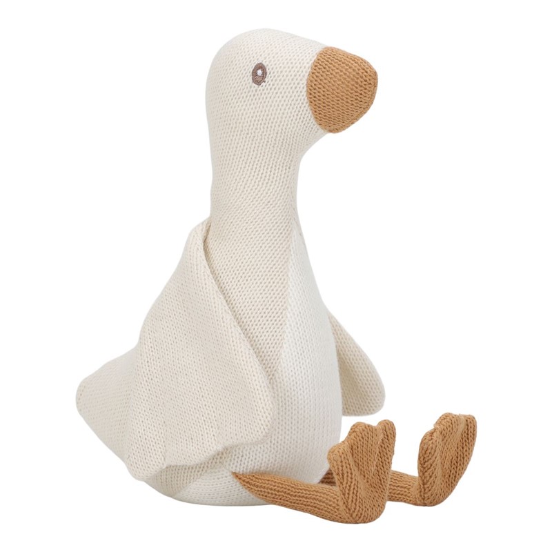 T8KY00019005-05 blank