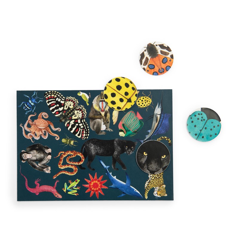 RKMP00011258-4 blank