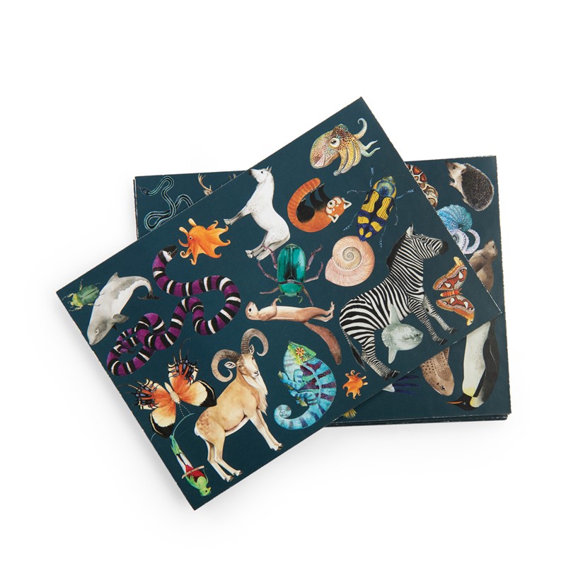 RKMP00011258-8 blank