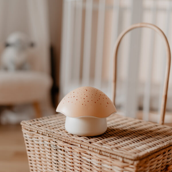 SP02MP-decor-HD300-600x600