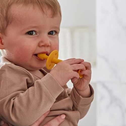 BZAE00004586-3 blank