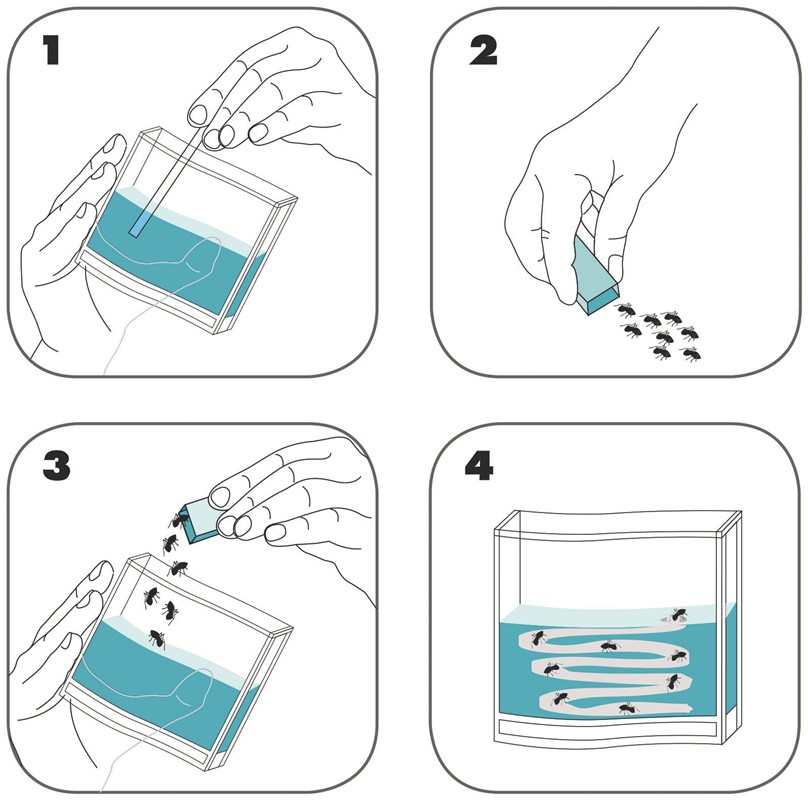 T8KY00001593-03 blank