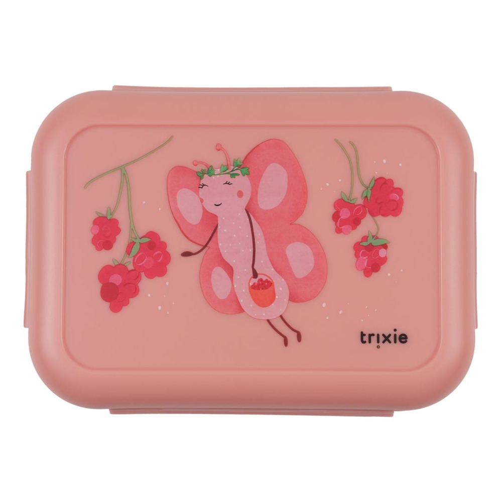 lunch-box-with-clips-fruit-fairy-mrs-butterfly_10008227