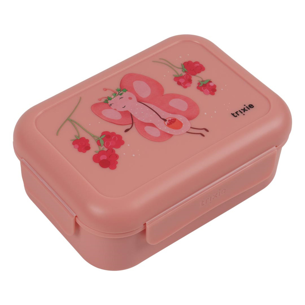 lunch-box-with-clips-fruit-fairy-mrs-butterfly_10008227_15230097