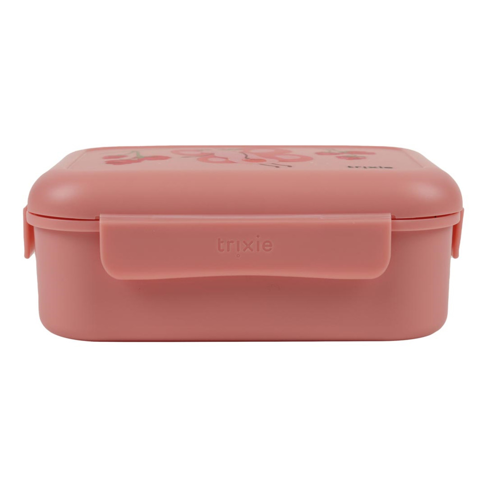 lunch-box-with-clips-fruit-fairy-mrs-butterfly_10008227_15290413 blank